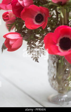 Anenomes Banque D'Images