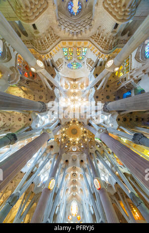 Barcelone, Espagne - 27 mars 2018 : plafond et des colonnes de la Basilique je Temple Expiatori de la Sagrada Familia (basilique et de l'Église expiatoire Banque D'Images