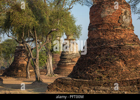 Wat Phra Si Sanphet Temple dans le parc historique d'Ayutthaya, Thaïlande Banque D'Images