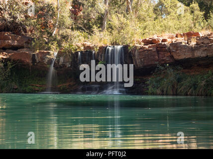 Turqouise et ad piscine Cascade. streaming au Fern Pool, Dales Gorge, NP Karijini, WA, Australie, Océanie Banque D'Images