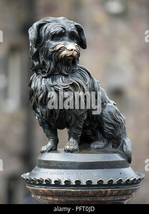 Kampa statue sur George IV Bridge, Edinburgh, Ecosse Banque D'Images