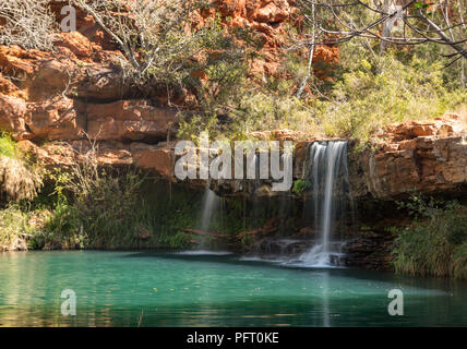 Turqouise et ad piscine Cascade. streaming au Fern Pool, Dales Gorge, NP Karijini, WA, Australie, Océanie Banque D'Images