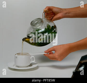 Tisane à base de feuilles fraîches est versé à partir de la théière en verre en tasse à travers une crépine, side view Banque D'Images