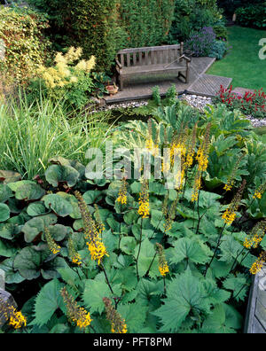 Étang de nénuphars et jaune Ligulaire sp. (Leopard plant) en premier plan, Miscanthus sinensis 'Zebrinus' (Zebra) herbe et feuilles déchiquetées de Gunnera manicata derrière, et banc en arrière-plan Banque D'Images