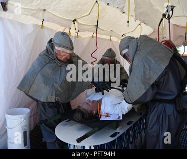 Les membres de la 161e Escadre de ravitaillement en vol d'un processus patient par une station de décontamination du patient sur place au cours d'un exercice à l'Air National Guard Base Goldwater, 22 mai. Le but de l'exercice était de former et d'évaluer la capacité de l'équipe IPPD pour décontaminer et préparer un patient à être transportés sur un niveau plus élevé de soins médicaux. Banque D'Images