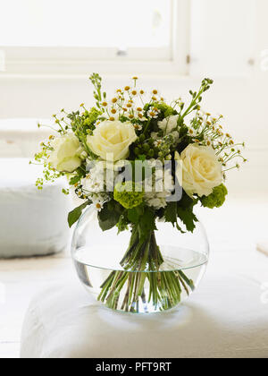 Tirant blanc et vert bouquet, camomille, Alchemilla mollis, guelder rose, rose blanche, hypericum, stock Banque D'Images