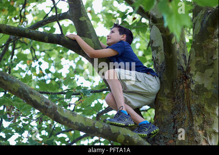 Boy climbing tree Banque D'Images