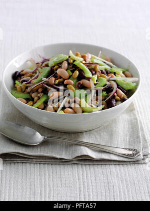 Quatre-bean salad (flageolets, haricots rouges, haricots blancs aux yeux noirs, haricots CANNELLINI) avec le céleri et les oignons rouges Banque D'Images