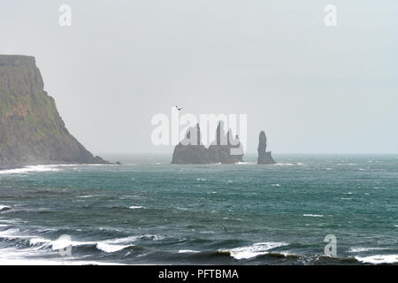 Trois cercle Macareux la mer au-dessus des plages de sable noir de Vik, avec la mer de Reynisdrangar piles dans l'arrière-plan sur un misty journée d'été. Banque D'Images