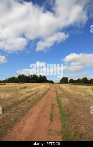 Walton hill, le point le plus élevé du Clent Hills dans le Worcestershire, Angleterre, Royaume-Uni. Banque D'Images