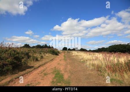 Walton hill, le point le plus élevé du Clent Hills dans le Worcestershire, Angleterre, Royaume-Uni. Banque D'Images