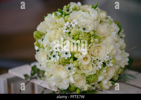 Vue frontale d'un bouquet de mariage avec des roses ivoire, blanc freesia, fleurs stephanotis mélangé avec de la verdure et de fleurs sauvages Banque D'Images