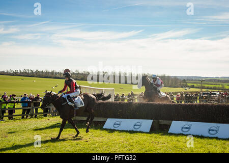 Point to Point courses hippiques à Horseheath, Cambridgeshire, Angleterre sous le soleil, le froid, l'après-midi de printemps. Banque D'Images