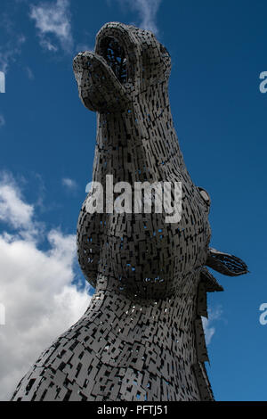 Falkirk, Royaume-Uni - 09 août 2018 : l'un des Kelpies - une paire de grandes statues de tête de cheval en acier inoxydable par le sculpteur Andy Scott un Banque D'Images