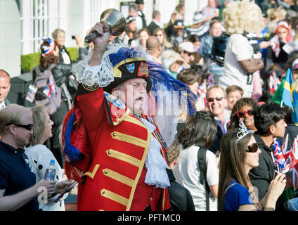 Le crieur public Tony Appleton (officiellement de Romford dans l'Essex) à Windsor le jour du mariage du prince Harry & Meghan Markle Banque D'Images