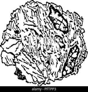 . Un traité sur les roches, les sols et l'altération des roches ;. Pétrologie ; les sols. 40 PROPRIÉTÉS PHYSIQUES ET CHIMIQUES DES ROCHES OP 2S663) Bridaeparf Calv dental bulles d'-et enfin repassé à plat vers le bas, contre le film de pierre. Le film lui-même, s'sufiiciently réchauffé, plus à l'ad- heres, verre épais et peuvent être déposés pour la nettoyage des slip de son montage final. C'est le mieux accompli en prenant le verre épais à l'aide d'une paire de pinces et poussez-giass- eover et film ensemble, avec un point d'aiguille fixée dans un manche, au loin dans le baume sur une diapositive. Le couvercle en verre-ici, qui a s Banque D'Images