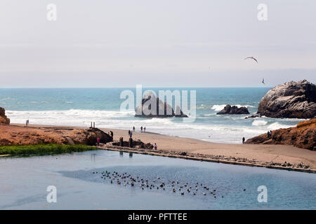 Vue panoramique sur les oiseaux et les hommes sur la plage avec vue de Seal Rock à San Francisco's Ocean Beach, Californie, USA Banque D'Images