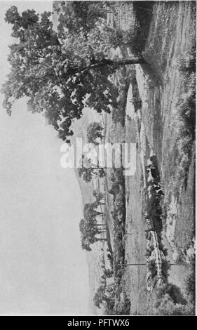 . Des études de la nature dans le Berkshire. L'histoire naturelle. . Veuillez noter que ces images sont extraites de la page numérisée des images qui peuvent avoir été retouchées numériquement pour plus de lisibilité - coloration et l'aspect de ces illustrations ne peut pas parfaitement ressembler à l'œuvre originale.. Adams, John Coleman, 1849-1922. New York et Londres, G. P. Putnam's Sons Banque D'Images