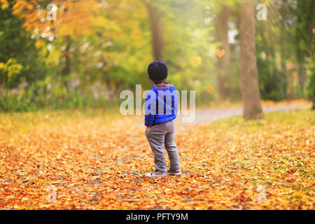 Un enfant est à regarder les feuilles tombent des arbres pendant la saison d'automne. Seul petit garçon dans la forêt bénéficie d'un paysage d'automne magique (portrait cap Banque D'Images