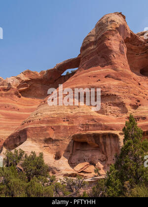 Passage de l'œil, Canyon de Rattlesnake, Black Ridge Wilderness Area, McInnis Canyons National Conservation Area, Grand Junction, Colorado. Banque D'Images