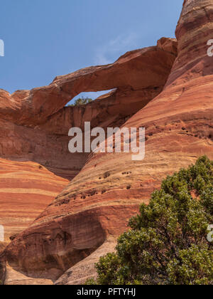 Passage de l'œil, Canyon de Rattlesnake, Black Ridge Wilderness Area, McInnis Canyons National Conservation Area, Grand Junction, Colorado. Banque D'Images