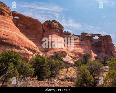 Et des yeux Akiti Arches, Canyon de Rattlesnake, Black Ridge Wilderness Area, McInnis Canyons National Conservation Area, Grand Junction, Colorado. Banque D'Images