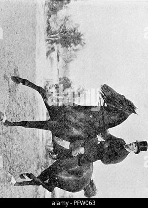 . La rupture et l'équitation, avec l'armée de commentaires. Les chevaux, l'équitation. ^. Numérisé par Microsoft®. Veuillez noter que ces images sont extraites de la page numérisée des images qui peuvent avoir été retouchées numériquement pour plus de lisibilité - coloration et l'aspect de ces illustrations ne peut pas parfaitement ressembler à l'œuvre originale.. Le Fillis, James, 1834-1913. Londres, Hurst et Blackett Banque D'Images