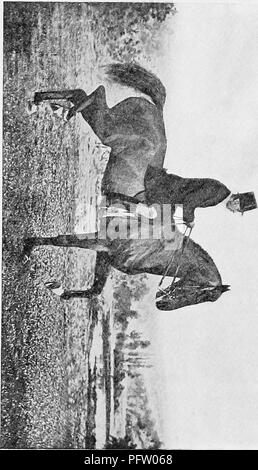 . La rupture et l'équitation, avec l'armée de commentaires. Les chevaux, l'équitation. t5' S3. Numérisé par Microsoft®. Veuillez noter que ces images sont extraites de la page numérisée des images qui peuvent avoir été retouchées numériquement pour plus de lisibilité - coloration et l'aspect de ces illustrations ne peut pas parfaitement ressembler à l'œuvre originale.. Le Fillis, James, 1834-1913. Londres, Hurst et Blackett Banque D'Images