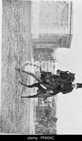 . La rupture et l'équitation, avec l'armée de commentaires. Les chevaux, l'équitation. I. numérisés par Microsoft®. Veuillez noter que ces images sont extraites de la page numérisée des images qui peuvent avoir été retouchées numériquement pour plus de lisibilité - coloration et l'aspect de ces illustrations ne peut pas parfaitement ressembler à l'œuvre originale.. Le Fillis, James, 1834-1913. Londres, Hurst et Blackett Banque D'Images