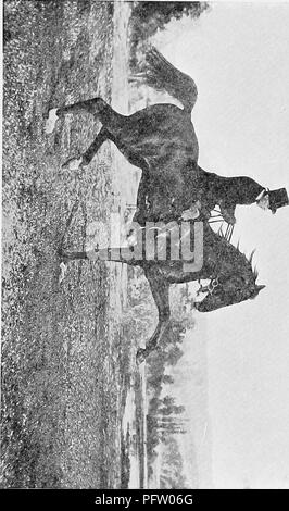 . La rupture et l'équitation, avec l'armée de commentaires. Les chevaux, l'équitation. Numérisé par Microsoft®. Veuillez noter que ces images sont extraites de la page numérisée des images qui peuvent avoir été retouchées numériquement pour plus de lisibilité - coloration et l'aspect de ces illustrations ne peut pas parfaitement ressembler à l'œuvre originale.. Le Fillis, James, 1834-1913. Londres, Hurst et Blackett Banque D'Images