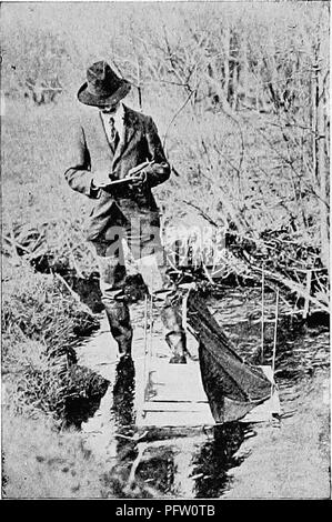 . La biologie d'eau douce. Biologie des eaux douces. Les MÉTHODES DE COLLECTE ET LA PHOTOGRAPHIE 87 dans le fond. Parfois le feuillage dense, un pont ou un bâtiment est placée de telle façon qu'à former un écran naturel, au sein de l'image de la photographie qui est possible. Si la surface de l'eau est agitée la photographie peut être faite à travers le fond d'un verre d'eau (Fig. 27). Le verre (Fig. 28) est un cadre de fer galvanisé avec un bas de la plaque de verre. La caution de fer bande sert à tenir l'écran (Fig. 27). Le verre illustré ici est de deux pieds carrés et est pris en charge sur les jambes à travers doigtiers aux coins et il Banque D'Images