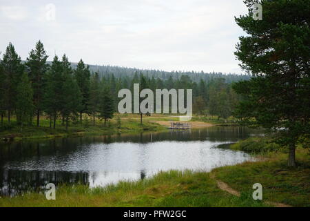 Petit lac et d'une jetée en bois, entouré de forêt en Laponie, Finlande Banque D'Images