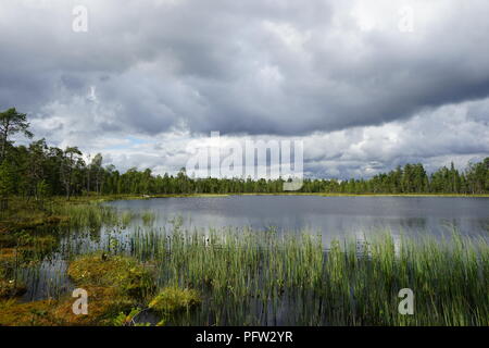 Sombres nuages au-dessus du lac calme en été, la Laponie, Finlande Banque D'Images