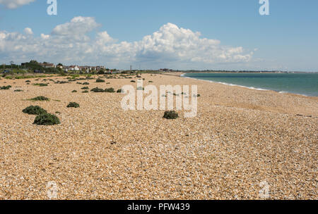 Plage de galets et le front de mer de Southsea à Portsmouth, Hampshire, en Angleterre Banque D'Images