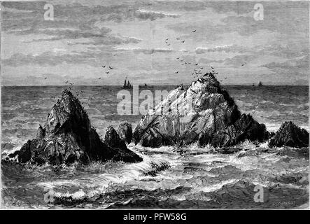 Un noir et blanc vintage print dépeignant oiseaux posés sur, et survolant Seal Rocks, un stand de roches marines, situé près de la falaise à San Francisco, Californie, publié dans William Cullen Bryant's edited volumes 'Amérique pittoresque ; ou, le pays dans lequel nous vivons", 1872. Avec la permission de Internet Archive. () Banque D'Images