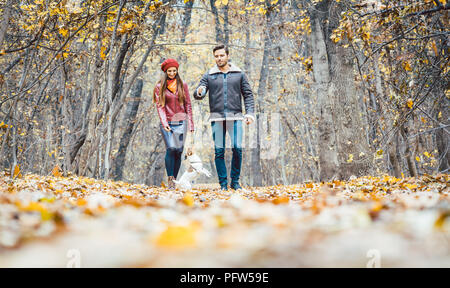 Jeune couple en train de marcher avec leur chien dans une forêt d'automne Banque D'Images