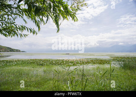 Milieu humide sur le Lac Erhai, Dali, Chine Banque D'Images