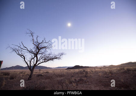 Un paysage en Afrique par nuit situé à proximité de l'aube au coucher du soleil lever du soleil Banque D'Images