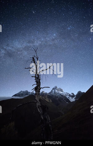 Ciel étoilé au-dessus de montagnes. Paysage de nuit. Le bois sec. Vue de haut de Ushba. La crête caucasienne Principale. Zemo Svaneti, Géorgie Banque D'Images