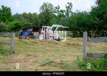 homme utilisant un tracteur steyr 650 et une ancienne machine de pressage rénovée pour recueillir et mettre en balles le foin dans un comté de zala en hongrie Banque D'Images