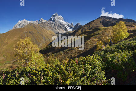 Paysage d'automne. Panorama de la montagne. Journée ensoleillée. Le mont Ushba, principales Caucasian ridge. Zemo Svaneti, Géorgie Banque D'Images