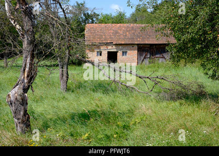 Ancienne grange dans un jardin luxuriant avec des arbres morts zala hongrie Banque D'Images