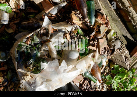 Bouteilles en verre cassé jetés dans un sac en plastique divisé en sous-bois faisant l'objet d'zala hongrie Banque D'Images