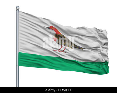 Oblast d'Astrakhan Ville drapeau sur mât, Russie, isolé sur fond blanc Banque D'Images