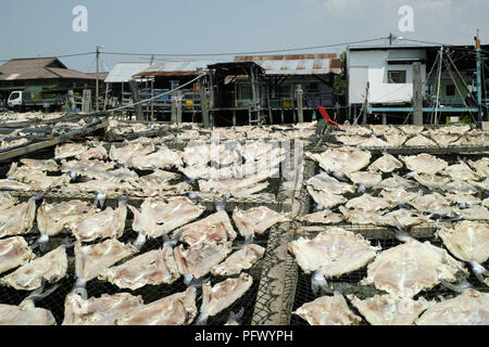 Fruits de mer frais et des produits du poisson. Sekinchan village de pêcheurs, la Malaisie péninsulaire. Banque D'Images