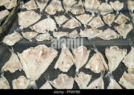 Fruits de mer frais et des produits du poisson. Sekinchan village de pêcheurs, la Malaisie péninsulaire. Banque D'Images