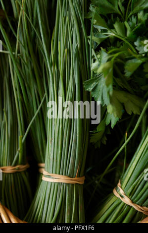 Un bouquet de ciboulette bio et d'herbes. Banque D'Images