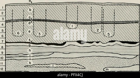 . Chronologie culturelle et le changement comme en témoigne la céramique de l'VirÃº Valley, au Pérou. Poterie -- La vallée de Viru, Pérou ; Mounds -- Pérou Vallée Viru Viru ; Vallée, Pérou -- antiquités. V-302A. EST^ilJfeSS^13 TTSD 14 1516 ^^-.^^ â ¢ â â .â â â€¢â'â'â â ' ''â la surface du sol à la base du monticule 3 I Aperçu de ^ fosse 0 I M I II I N 742A ---^ (Jo) B (760 X 6' (0'' '^ : f5 ') ; (est. {4" ; un (2) D '.14 } E (V (K' ; '12 est (Z) ,'-, c x 575 â . 'J3 Mètres i7i Fig. 33. Profil de tranchée V-302A et le plan de tranchées V-302A-E. Lignes brisées sur le profil et de brisures de cercles sur plan indique les fosses d'enfouissement, un Banque D'Images