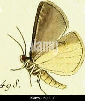 Étude approfondie du travail de Jacob Hübner, fournissant des informations supplémentaires sur les espèces de mites geometra avec un accent sur les lépidoptères et la morphologie des insectes à travers des illustrations détaillées. Banque D'Images