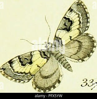 . L'HuÌbner geometra [ressource électronique]. Lépidoptères. Z2f&gt;Â£)0p#  !ra.â , C. -Â€eo7n0&amp ;&amp;s&gt ;. jr. limcc  , 2T mourir -f '^p ?. 3A-.. Veuillez noter que ces images sont extraites de la page numérisée des images qui peuvent avoir été retouchées numériquement pour plus de lisibilité - coloration et l'aspect de ces illustrations ne peut pas parfaitement ressembler à l'œuvre originale.. HuÌbner, Jacob, 1761-1826. [S. l.  : S. n. ] Banque D'Images